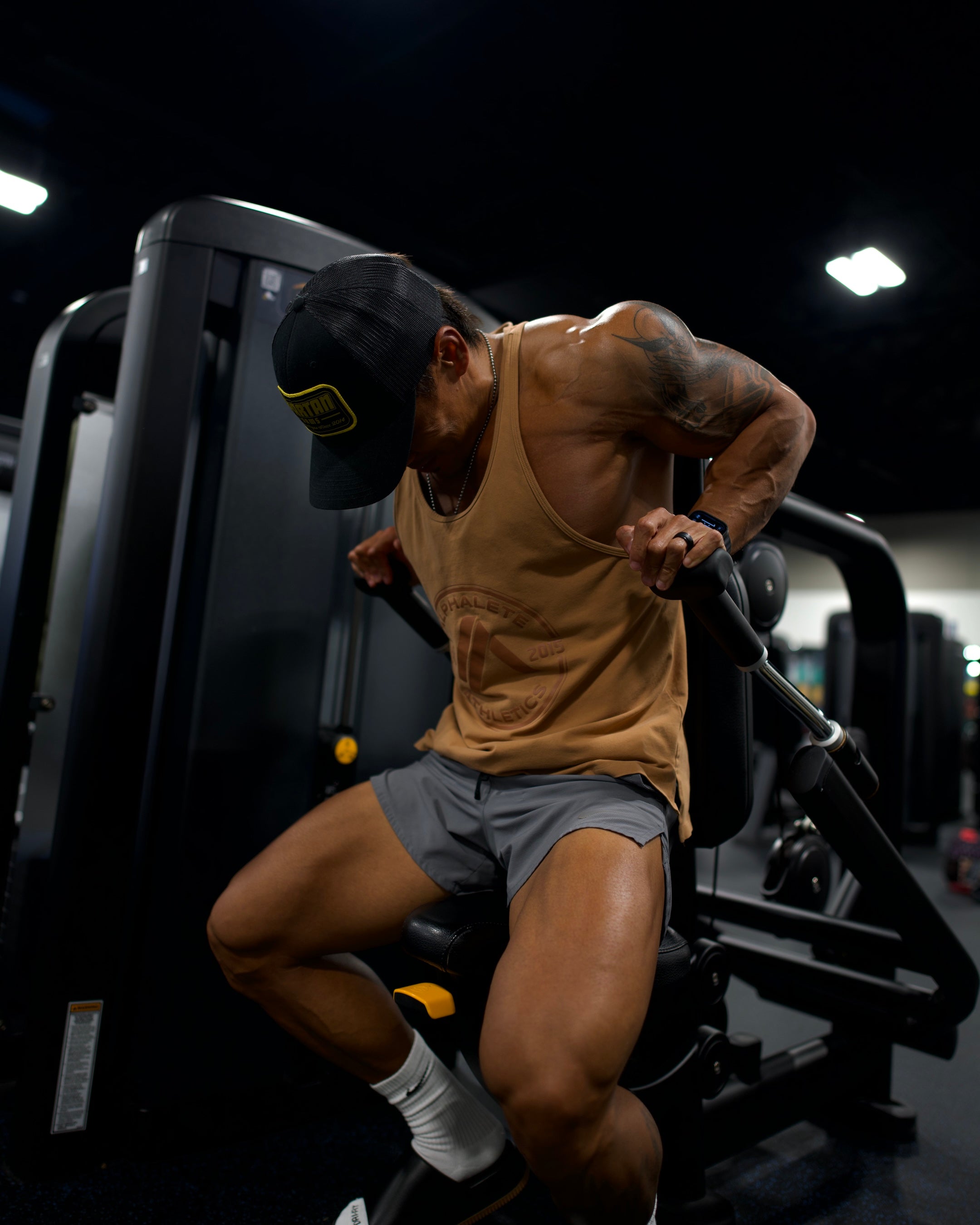 *NEW Winter Hype Split